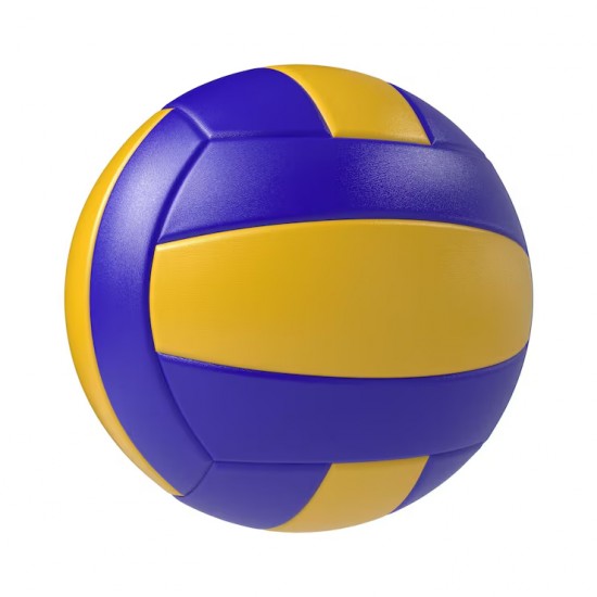 Volley Ball